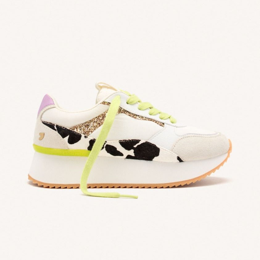 Sneakers con plateau Gioseppo BOWDOIN